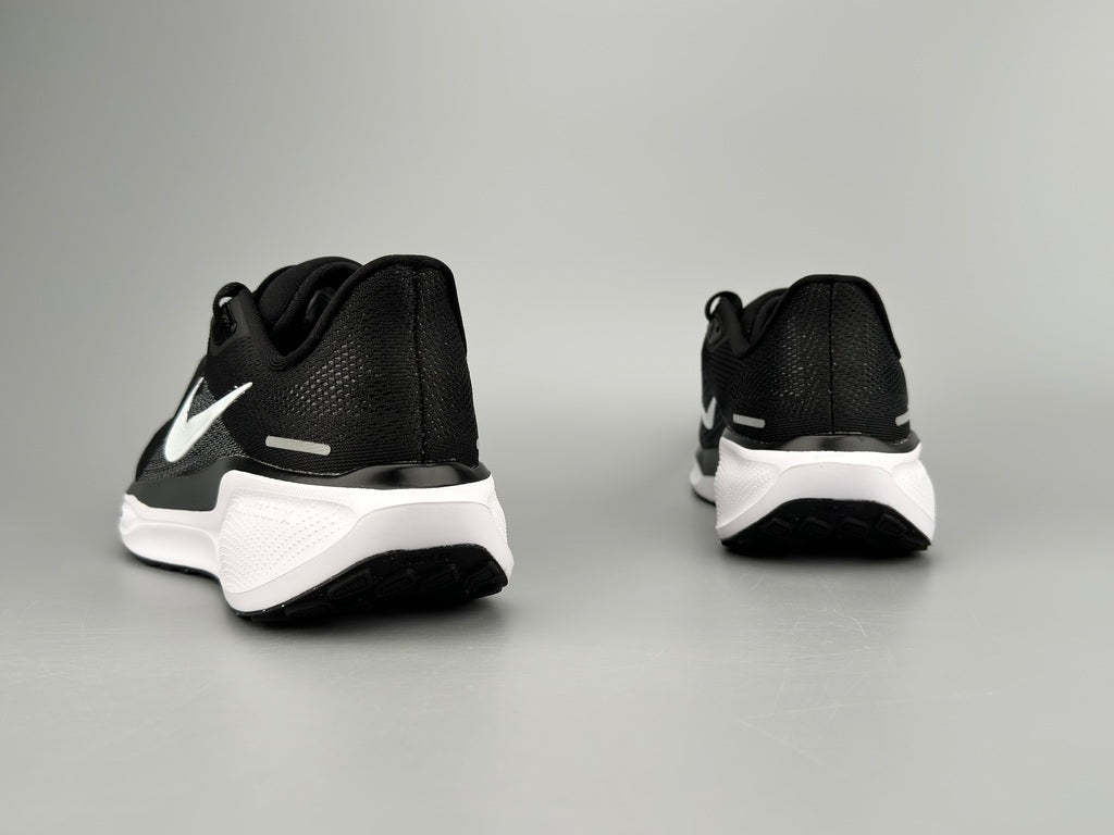 Air Zoom Pegasus 41